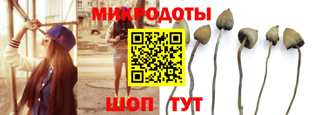 Галлюциногенные грибы мицелий Новоалександровск